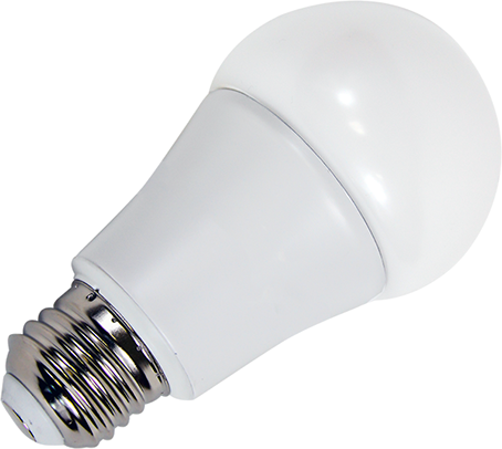 photo_led_bulb